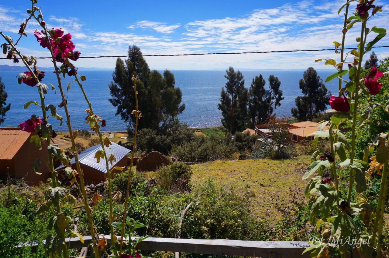 Tikawasi Homestay Comunidad Pueblo Isla Amantani Jose Luis Ocosuyo エクステリア 写真